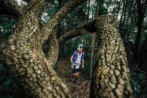 BIB: 
                            <button type="button" onclick="openModal(25393010)" class="btn btn-primary btn-sm float-right btn-popup" data-toggle="modal" data-target=".modal-high-quality">
                        <i class="fas fa-shopping-cart"></i> Add to Cart
                    </button>
                                            <button type="button" onclick="isThisMe(25393010, true)" class="btn btn-success btn-sm float-right btn-popup btn-isme hidden" data-toggle="tooltip" data-placement="bottom" title="นี่คือรูปของคุณใช่ไหม คลิกที่นี่เพื่อเอาเข้าอัลบั้ม">
                        <i class="fas fa-plus"></i> Add to album
                    </button>
                    <button type="button" onclick="isThisMe(25393010, false)" class="btn btn-warning btn-sm float-right btn-popup btn-isnotme hidden">
                        <i class="fas fa-ban"></i> Remove from album
                    </button>